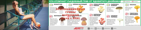 прущая мука Баксан