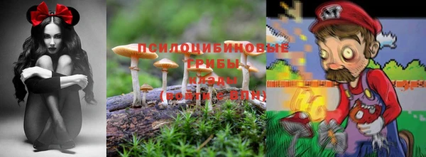 тгк Балабаново