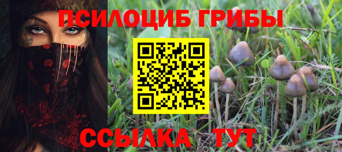 Псилоцибиновые грибы Magic Shrooms Сатка